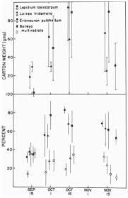 Image result for Kohautia microflora