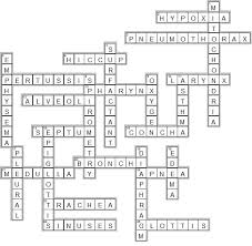 Thick filaments of a muscle fiber. Respiratory System Crossword Puzzle Answers