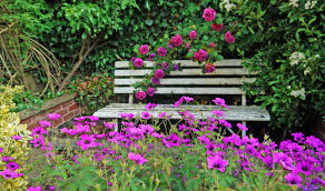 Summer scene photos free download