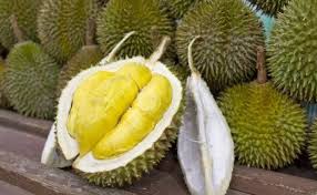 Perawatan menjelang berbunga kaga ada.kaga. Tips Menanam Durian Montong Supaya Cepat Berbuah Halaman 1 Kompasiana Com