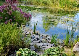 The planner helps you lay out a vegetable garden, too, so you can maximize your space. Virtual Garden Design Two Green Shoots