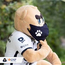 May 03, 2021 · deportista por pasión y vocación, fue centrocampista y su primer equipo fue el pumas unam de la primera división de méxico en 1979 convirtiéndose en el máximo goleador mexicano del club con. Pumas Mx Vamos Con Todo Para Manana Goyo Siguio Facebook