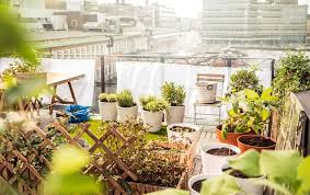 Dachterrasse Mit Garten So Geht S Ikea Garten Hinterhof Designs Dachgarten