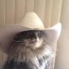 Dec 16, 2003 · una excelente traducción que el señor gato con sombrero se merecía hacía mucho tiempo. 3