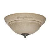 Tommy bahama fine ceiling fans capture the essence of island living, allowing you to experience the trade winds at the flick of a switch. Tommy Bahama Ceiling Fan Replacement Parts Including Light Kits Pullchains Blade Replacements More