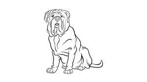 Section 2.1 molossoid breeds, mastiff type; How To Draw A Mastiff Dog Youtube