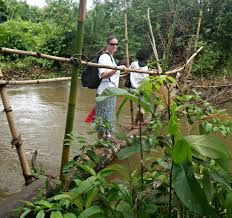 Elementary School Teacher And Six Time Liberia Missionary Heidi O Walking On The Monkey Bridge T Elementary School Teacher Elementary Schools School Teacher