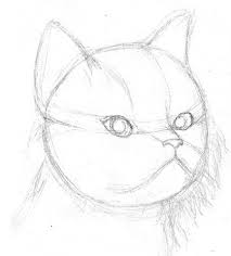 Cat sitting front view face proportions sketch. How To Draw Cats With Pencil For The Absolute Beginner Learn To Draw Books