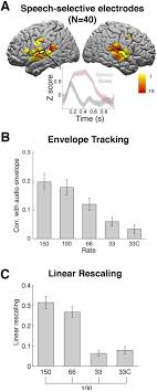 The effect of compressed speech. Electrocorticographic Responses To Time Compressed Speech Vary Across The Cortical Auditory Hierarchy Biorxiv