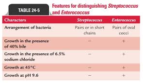 Image result for Group D Streptococcus