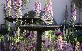 Choose the right box for the species you hope to attract. How To Attract Birds To Your Garden In 4 Steps The English Home