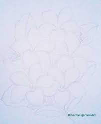 Pembibitan atau perbanyakan bunga mawar bisa dilakukan dengan berbagai cara, baik secara generatif maupun secara vegetatif. Menggambar Bunga Kamboja Menggunakan Pensil Warna