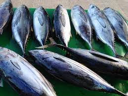 Bayan ng barili), is a 2nd class municipality in the province of cebu, philippines. Isda Mo Dra Barilis Ug Delann Fish Vendor Facebook