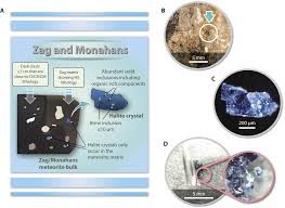 (note the use of no and any in the negative.) i know something that has some bearing on the issue you are discussing. Organic Matter In Extraterrestrial Water Bearing Salt Crystals Science Advances
