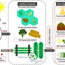 Maybe you would like to learn more about one of these? Pdf Extraction Of Proanthocyanidins Tannins And Other Phenolic Compounds From Pine Bark A Contribution To A Sustainable Forest