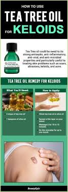 How To Use Tea Tree Oil For Keloids Tea Tree Oil Benefits Tea Tree Oil Skin Tags Essential Oils