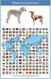 This list includes purebred dog breeds as well as hybrid dog breeds. Dog Names By Country Of Origin