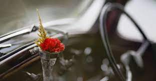 Sila contact kami untuk maklumat lanjut. 7 Pewangi Kereta Terbaik Di Malaysia 2021 Paling Wangi Productnation