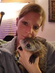 Dr. Dolittle's House Wildlife Rehab Center