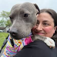 🚨 AVAILABLE FOR ADOPTION-MEET SHEBA 🚨 💖 Meet Sheba