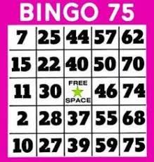 See some examples of what we've done with this flexibility. Your Complete Guide To Bingo Cards From The Experts At Bingo Org