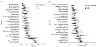 Image result for Acacia rovumae