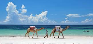 There is mida creek, a lot of bays, sandbanks, rocks in the ocean and excellent snorkeling. Diani Beach Kenyan Safaris Natural World Kenya Safaris