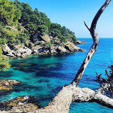 Golfe St Tropez Golfesttropez On Instagram Vue Sublime Sur La Mediterranee Depuis Le Domaine Du Rayol Le Jardin Des Me Instagram Crystal Clear Water Nature