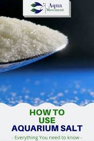 How To Use Aquarium Salt For Betta Fish Aqua Movement In 2020 Betta Fish Care Betta Fish Aquarium