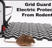 Testing Out The Grid Guard Electric Vehicle Rodent Protection System.  Mousetrap Monday.
