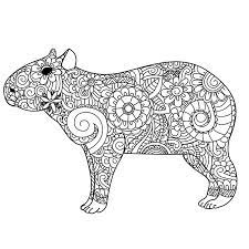 Or go to a cardinal quiz or the answers. Pin On Coloring
