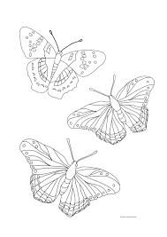Who would have believed that such beautiful creatures as butterflies belong to the same species as those that are feared by most people? Butterfly Coloring Pages