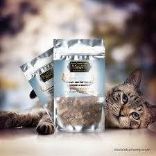 Cbd works wonders for cats! Chewy Cbd Cat Treats Cbd For Cats