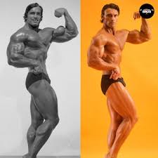 Bodybuilding Bros by EssentiallySports