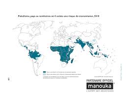 Cartes des zones à risque de maladies transmises par les moustiques dans certaines zones où sévit un paludisme polypharmacorésistant la chimioprophylaxie par la. Carte Du Paludisme Source Oms Vigilance Moustiques