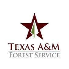 images?q=tbn:ANd9GcRAZfQ1R6lQylSM2Vqaq3meMQBYW6p6inyPGCsPP-AceUNTLIQ-qQ