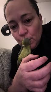 That moment you get a bright idea 💡😂 Glad she trusts me! #olivia #parrot  #fyp #love #viral #viralvideo #fypシ゚viral🖤tiktok #bird #trust #getinmybelly