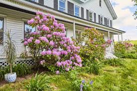 It's not something she does for excitement; The Vista Farmhouse In Roxbury Ny Escape Brooklyn