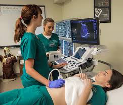 The first step is to receive either an associate's or bachelor's degree, or a complete an ultrasound tech certificate. Delgado Cc Diagnostic Medical Sonography