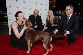 Heck with a good beer it gets even better. A Dog S Way Home How Shelby Went From Junkyard Stray To Movie Star