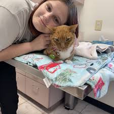 THE BEST 10 VETERINARIANS in NORTH PADRE ISLAND, TX