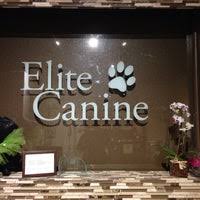 Also, don't forget to mention hubbiz to elite auto glass. Elite Canine Daycare Spa Pet Service In San Ramon