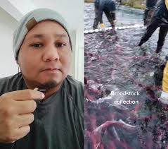 #dúo con @fletchflower #aquaculture #acuicultura #acuacultura #biologos  #fyp #salmon