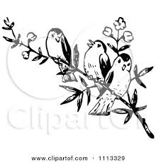 Black And White Clipart Images Of Birds Clipart Three Vintage Black And White Birds On A Branch Royalty Free Vector Illustration By Prawny White Bird Tattoos Black And White Birds Black Bird Tattoo