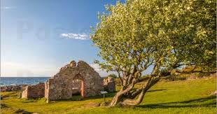 Christian Muringer Salomons Kapel Bornholm Danemark Bornholm Reisen Reiseziele