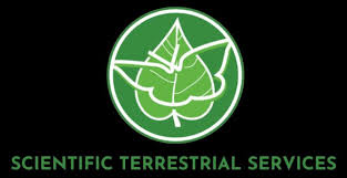 Image result for Plinthus cryptocarpus