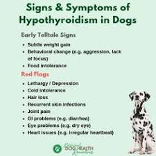 Weight gain without a corresponding increase in food intake. Recognize The Signs And Symptoms Of Hypothyroidism In Dogs Recognize The Signs And Symptoms Of Hypothyroidism Hypothyroidism Symptoms Hypothyroidism Symptoms