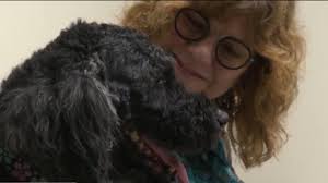 Plus mental health problems will plague most people to some extent, just like everyone gets cavities and cancer. Experimental Brain Cancer Treatment For Dogs Could Someday Help Humans With Glioblastoma Cbs News