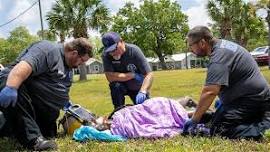 Obstetrical Transitions of Care- Wauchula, FL