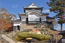 備中松山城 為日本百大名城 更是現存12座天守閣中 海拔最高的山城 亦有天空之城的美名本篇文章整理了岡山出發 前往 備中松山城 的交通方式 含jr建議班次 共乘計程車預約方式 秋冬時分的早晨 還有機會看見絕美雲海呢加上可愛貓城主坐鎮 和賞楓紅葉美 house